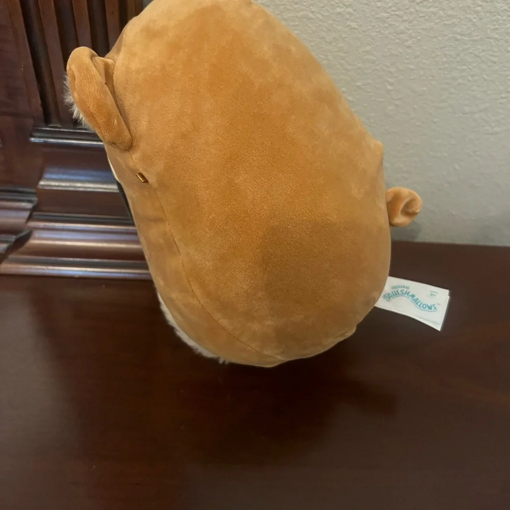 Squishmallows Dally The Pug Stuffed 8